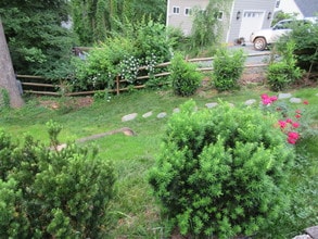 104 Buckingham Rd in Charlottesville, VA - Building Photo - Building Photo