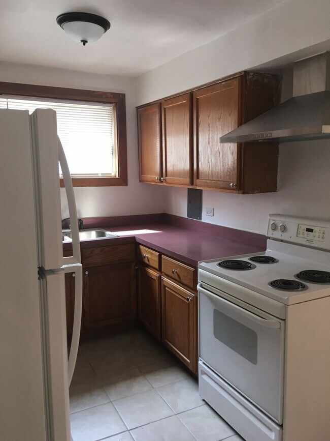 1410 W Juneway Terrace in Chicago, IL - Building Photo - Building Photo