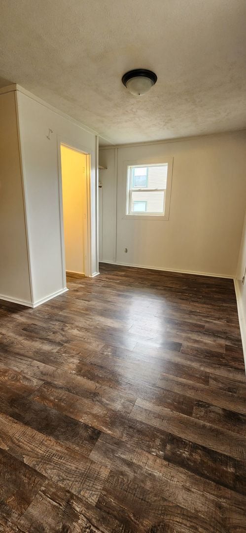 313 N Michigan Ave in Big Rapids, MI - Building Photo - Building Photo