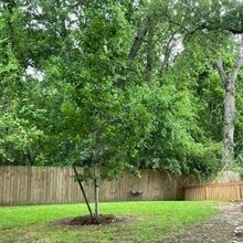 3411 Hideaway Ln in Spring, TX - Building Photo - Building Photo