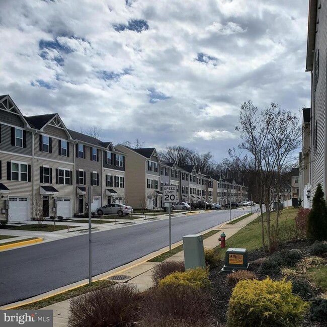 203 Sage Cir in Winchester, VA - Foto de edificio - Building Photo