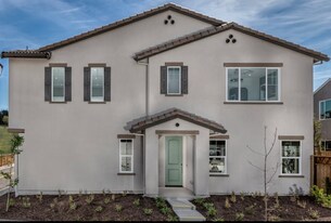 67 W San Francisco Dr in Mountain House, CA - Building Photo