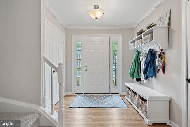6637 Kelsey Point Cir in Alexandria, VA - Building Photo - Building Photo