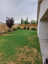 2933 San Miguel Ct in Las Cruces, NM - Building Photo - Building Photo