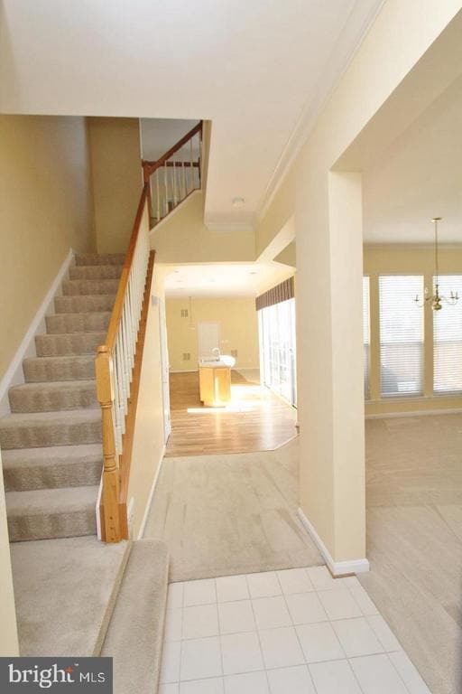 13800 Custis Square in Woodbridge, VA - Building Photo - Building Photo