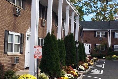 Maple Tree in Stamford, CT - Foto de edificio