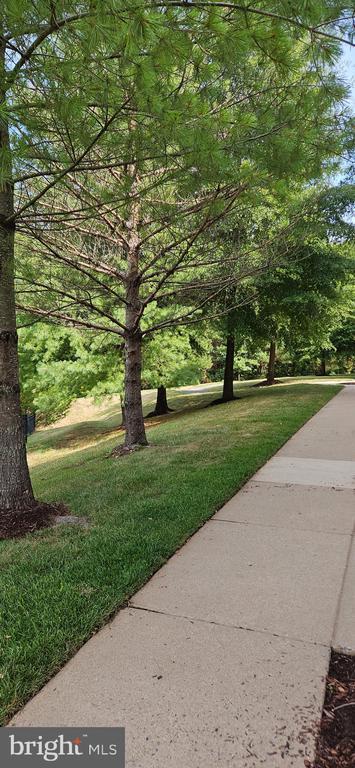 12332 Rollys Ridge Ave in Upper Marlboro, MD - Building Photo - Building Photo