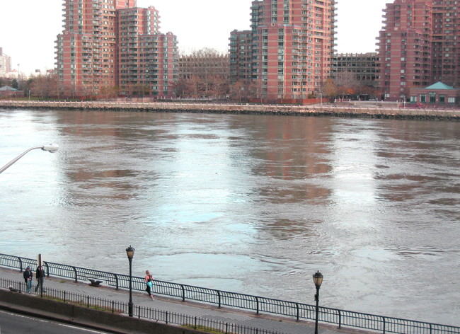 The Oxford Houses in New York, NY - Building Photo - Building Photo