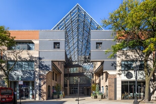 Cobbler Square Lofts in Chicago, IL - Building Photo