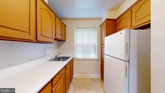 22 Danbury St SE in Washington, DC - Building Photo - Building Photo