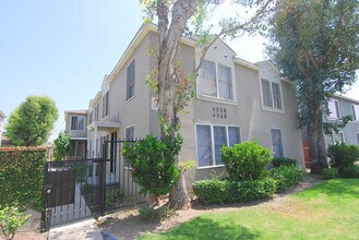 Bixby Knolls Gem in Gated Community in Long Beach, CA - Building Photo - Building Photo