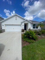 17217 Harvest Moon Way in Bradenton, FL - Building Photo