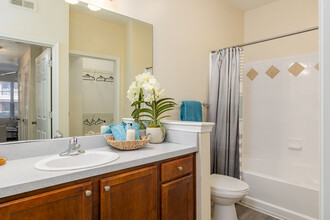 LANDING SQUARE in Atlanta, GA - Building Photo - Interior Photo