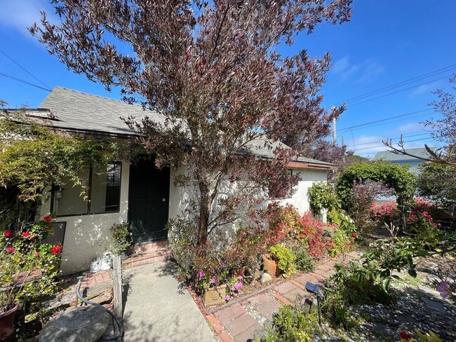 property at 498 David Ave