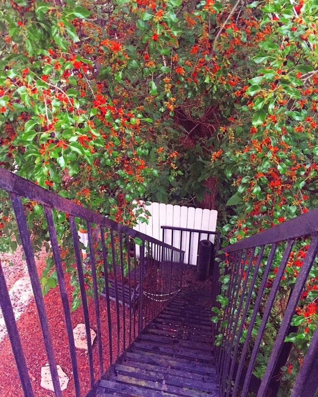 5855 Curry Rd, Unit #2 in Pittsburgh, PA - Building Photo - Building Photo