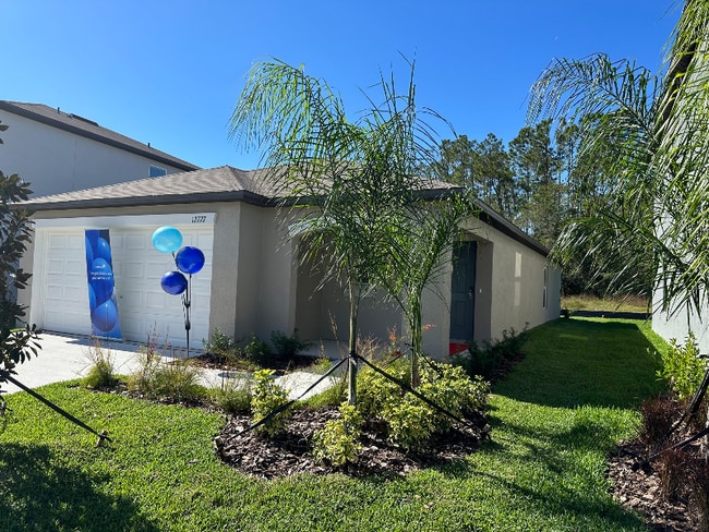 12727 Maple Bonsai Dr in Riverview, FL - Foto de edificio - Building Photo