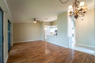 18 Santiago Ct in St. Augustine, FL - Building Photo - Building Photo
