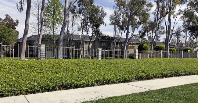 Laurel Woods Apartments in Fontana, CA - Building Photo - Building Photo