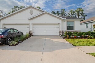 31365 Paper Birch St in Wesley Chapel, FL - Building Photo