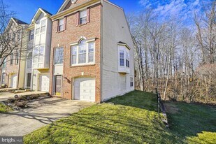 8427 Carmela Cir in Springfield, VA - Building Photo