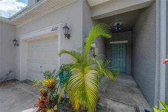 10687 Lake Montauk Dr in Riverview, FL - Building Photo - Building Photo