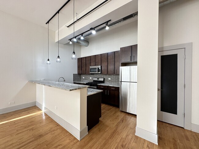 1432 W 21st St in Chicago, IL - Building Photo - Building Photo