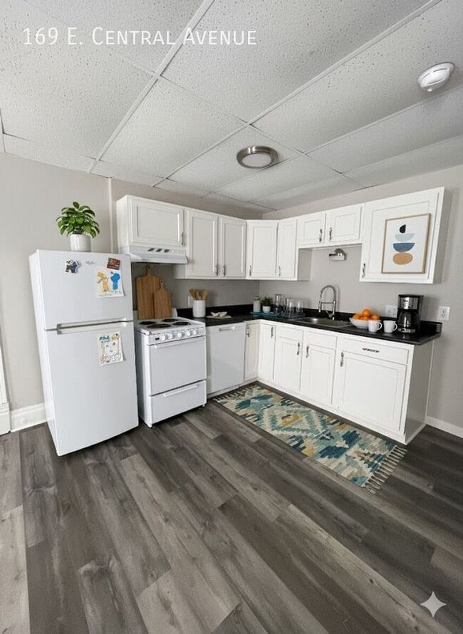 169 E Central Ave in Delaware, OH - Building Photo - Building Photo