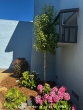132 Bar Harbor Ct in Aptos, CA - Foto de edificio - Building Photo