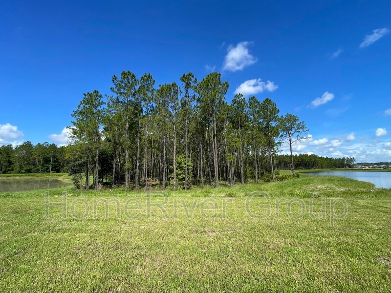 34813 Rainville Lp in Zephyrhills, FL - Building Photo