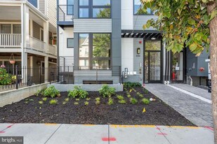 836 Varnum St NW in Washington, DC - Building Photo