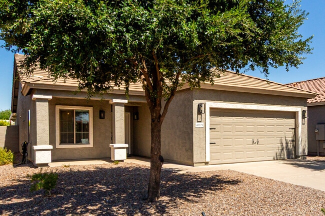 41229 N Stenson Dr in San Tan Valley, AZ - Building Photo - Building Photo