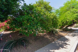 1347 W Lobo Ave in Mesa, AZ - Building Photo - Building Photo