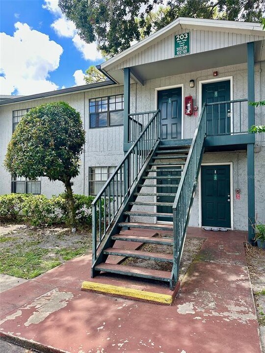 203 Pine Tulip Ct in Tampa, FL - Building Photo