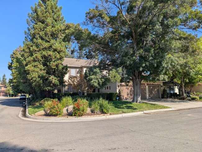 2550 E Christopher Dr in Fresno, CA - Building Photo - Building Photo
