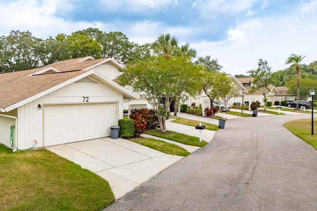 Townhomes Of Westlake Village Condos in Palm Harbor, FL - Building Photo - Building Photo