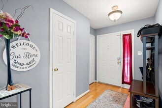 9033 Blarney Stone Dr in Springfield, VA - Building Photo - Building Photo
