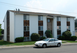 106 N Page Ave in Endicott, NY - Building Photo