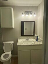 6231 Lone Prairie Way in Katy, TX - Building Photo - Building Photo