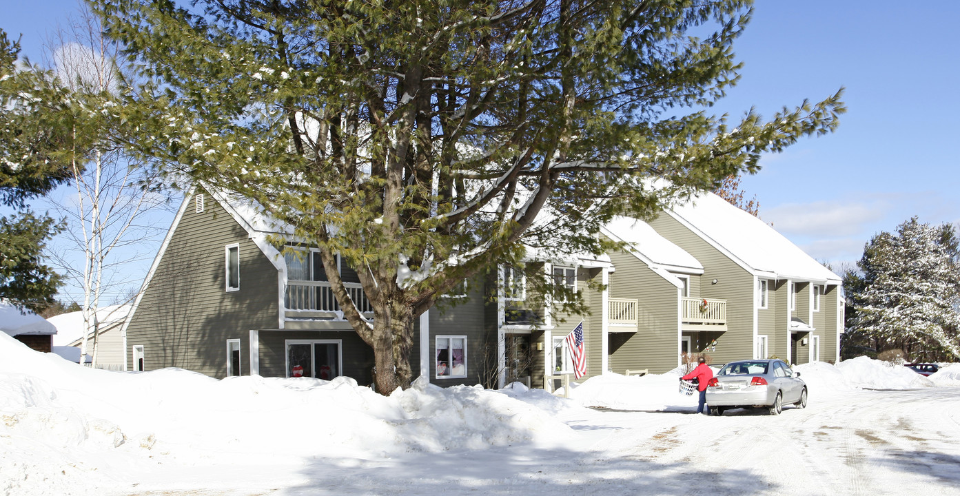 Rustfield Village Apartments in Norway, ME - Building Photo