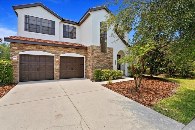 20317 Chestnut Grove Dr in Tampa, FL - Building Photo - Building Photo
