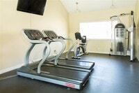 Ventura Terrace photo'