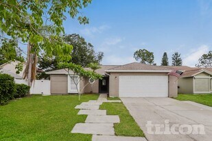 13613 Fawn Ridge Blvd in Tampa, FL - Building Photo