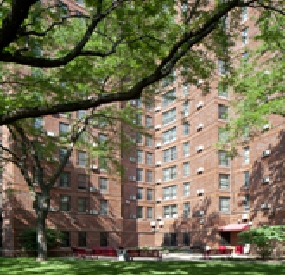 Zelda Ormes Apartments in Chicago, IL - Foto de edificio - Building Photo