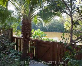 15636 Morning Dr in Lutz, FL - Building Photo - Building Photo