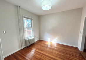 151 E Cottage St, Unit #2 in Boston, MA - Foto de edificio - Building Photo