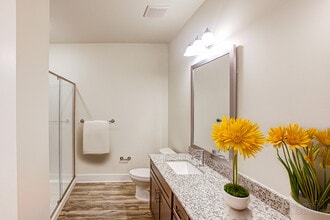 Cobblestone Village in Rolesville, NC - Building Photo - Building Photo