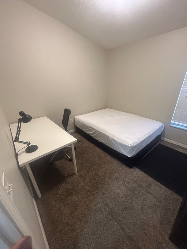 8151 Canterbury Lake Blvd in Tampa, FL - Foto de edificio - Building Photo