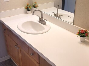 5125 Palm Springs Blvd, Unit 1303 in Tampa, FL - Building Photo - Building Photo
