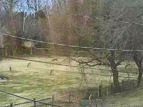 50 Buckwalter Rd in Spring City, PA - Foto de edificio - Building Photo