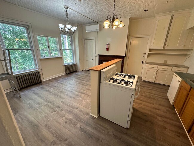 117 Hudson St in Ithaca, NY - Building Photo - Building Photo